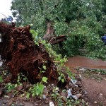 Cuba reporta más de 461 derrumbes en La Habana tras el huracán Rafael