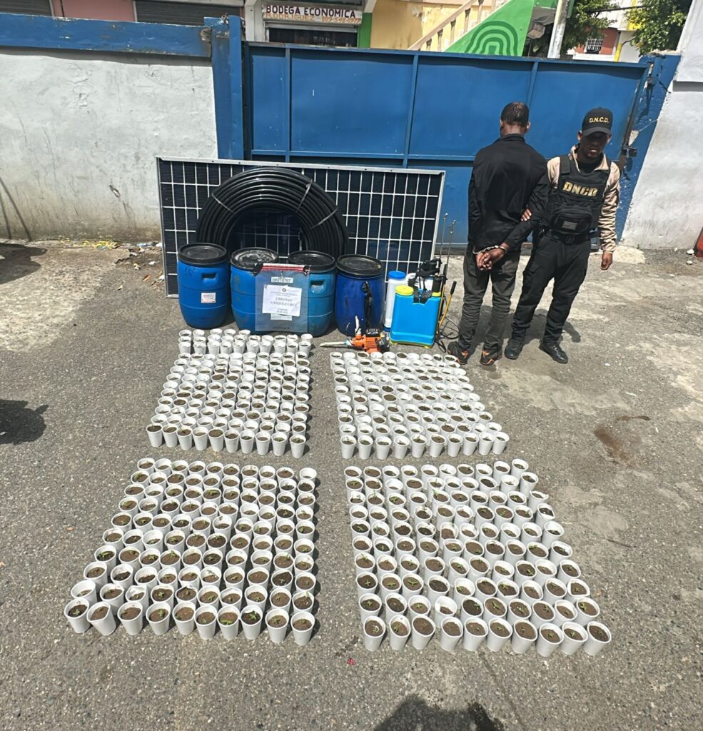 Operativo de incautación